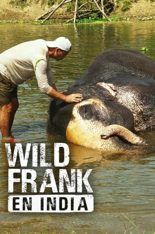 Wild Frank en India, Season 1. Wild Frank en India, Season 1 