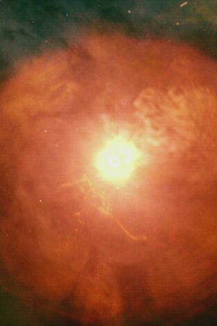 La historia del Universo. La historia del Universo: La próxima supernova