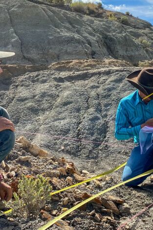 Dino Hunters. T(T2). Dino Hunters (T2): Choque de cráneo