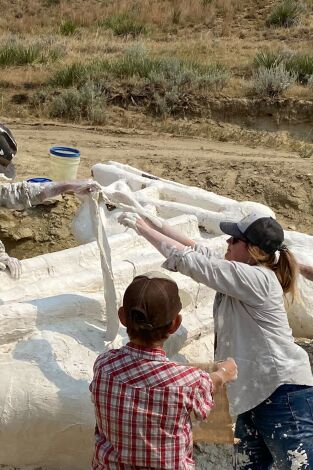 Dino Hunters. T(T2). Dino Hunters (T2): En plena carrera