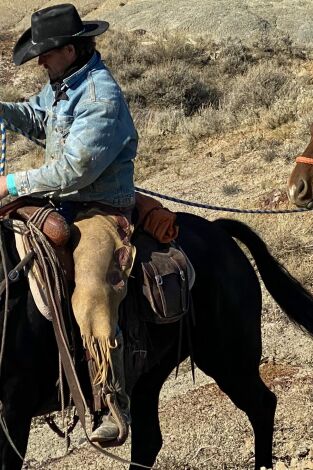 Dino Hunters. T(T2). Dino Hunters (T2): Rex descubierto