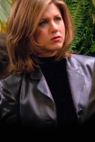 Friends. T(T2). Friends (T2): Ep.15 El de cuando Ross y Rachel... ya sabes