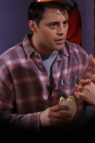 Friends. T(T4). Friends (T4): Ep.16 El de la falsa fiesta