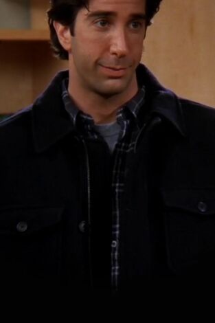 Friends. T(T5). Friends (T5): Ep.7 El que Ross se Muda