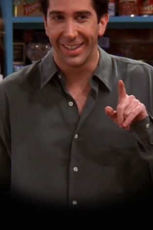 Friends. T(T5). Friends (T5): Ep.19 El que Ross no sabe flirtear