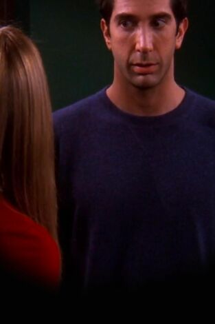 Friends. T(T6). Friends (T6): Ep.9 El de cuando Ross se drogó