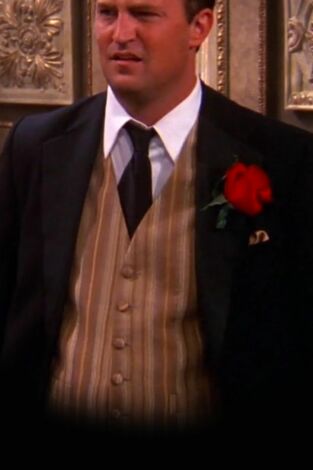 Friends. T(T8). Friends (T8): Ep.1 El de después del "Sí, quiero"