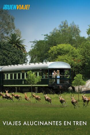 Viajes alucinantes en tren