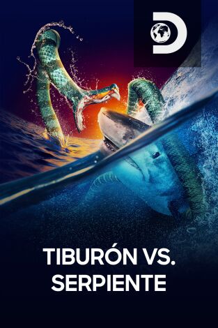 Tiburón vs. Serpiente