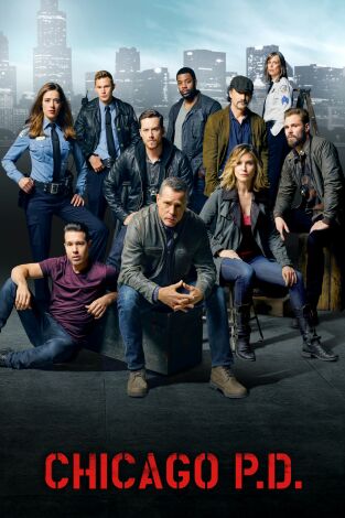 Chicago PD. T(T2). Chicago PD (T2): Ep.11 Ya no trabajamos juntos