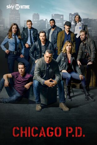 Chicago PD. T(T2). Chicago PD (T2)