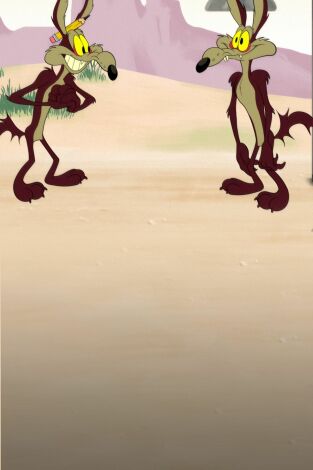 Looney Tunes Cartoons. T(T1). Looney Tunes... (T1): Estafador des-pie-dado / Multiplica y vencerás / A-Porky-miento ocupado