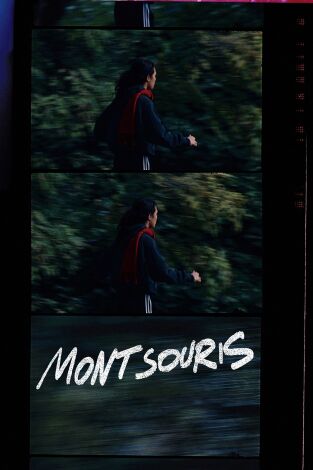 Montsouris