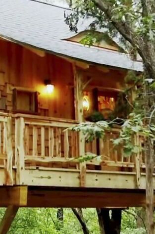 Mi casa en un árbol. T(T4). Mi casa en un árbol (T4): Un rincón mágico para celebrar fiestas
