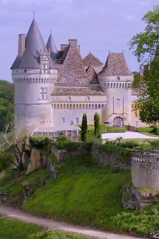 Mi casa en un árbol. Mi casa en un árbol: Internacional: Francia