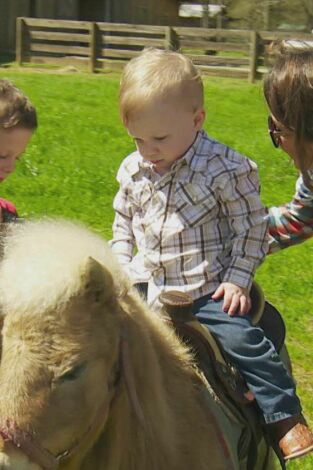 6 por sorpresa. T(T3). 6 por sorpresa (T3): Seis pequeñas citas