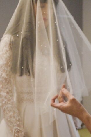 ¡Sí, quiero ese vestido! con Tan France. T(T1). ¡Sí, quiero ese... (T1): Enamorada de mi novio fantasma