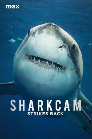 Sharkcam: Mejores momentos