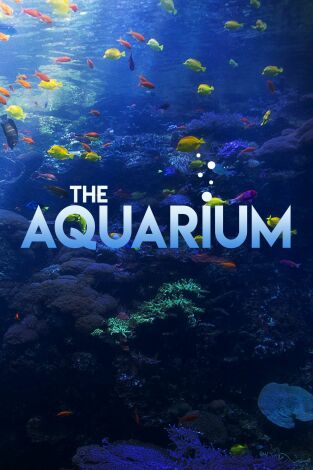 The Aquarium, Season 2. T(T2). The Aquarium, Season 2 (T2)