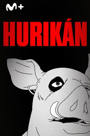 Hurikán