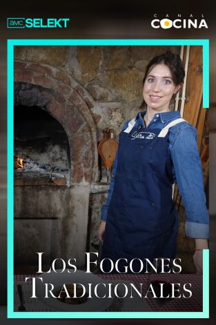 Los fogones tradicionales. T(T27). Los fogones tradicionales (T27)