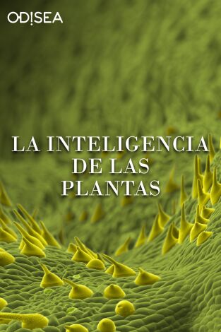 La inteligencia de las plantas. La inteligencia de las plantas 