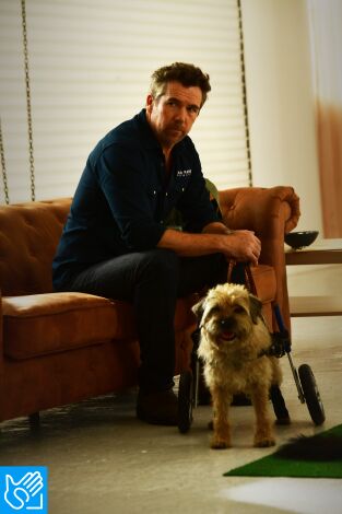 (LSE) - Colin de cuentas. T(T2). (LSE) - Colin de... (T2): Ep.7 (LSE) - Duelo