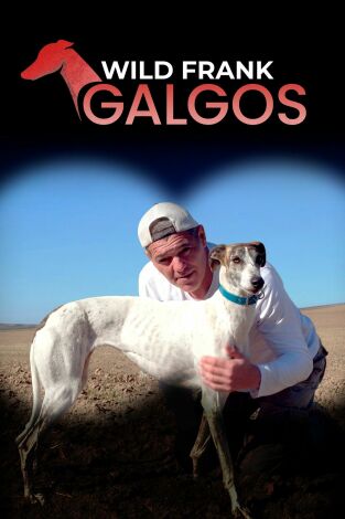 Wild Frank: Galgos