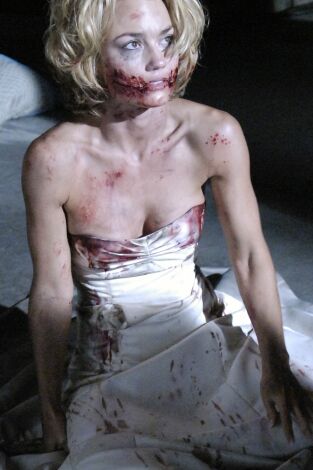 Nip/Tuck, Season 3. T(T3). Nip/Tuck, Season 3 (T3): Abby Mays