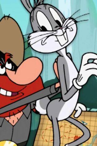 New Looney Tunes. T(T1). New Looney Tunes (T1): Un tesoro doloroso / El oficinista mareado