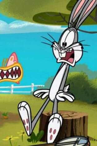 New Looney Tunes. T(T2). New Looney Tunes (T2): Un comezanahorias en busca de dibujante / 'Atrapato' en el tiempo