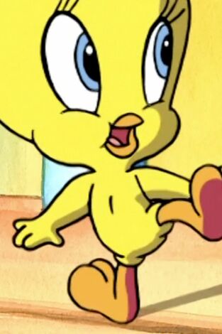 Baby Looney Tunes, Season 1. T(T1). Baby Looney... (T1): La sombra de la duda