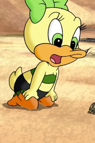 Baby Looney Tunes, Season 2. T(T2). Baby Looney... (T2): Una tortuga llamada Mirta