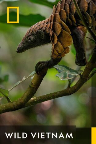 Wild Vietnam. Wild Vietnam 