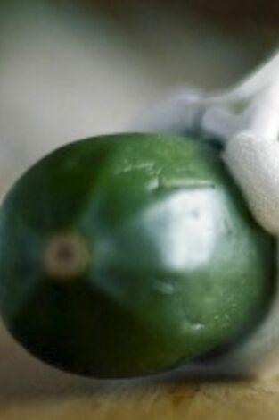 Viagra: el milagro azul. Viagra: el milagro...: Pura ciencia