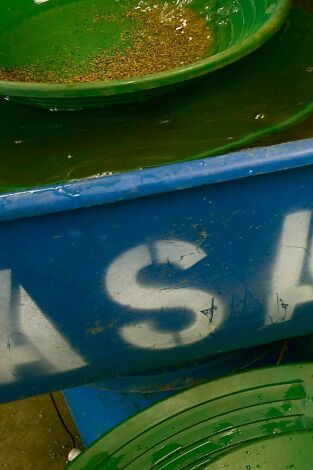 La pesca del oro: bajo el hielo. T(T3). La pesca del oro:... (T3): Tesoro hundido