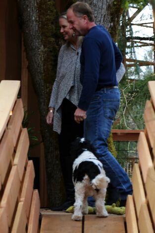 Mi casa en un árbol. T(T6). Mi casa en un árbol (T6): Casa en los árboles para aventureros