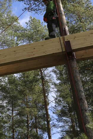Mi casa en un árbol. T(T6). Mi casa en un árbol (T6): Una casa digna de un vikingo