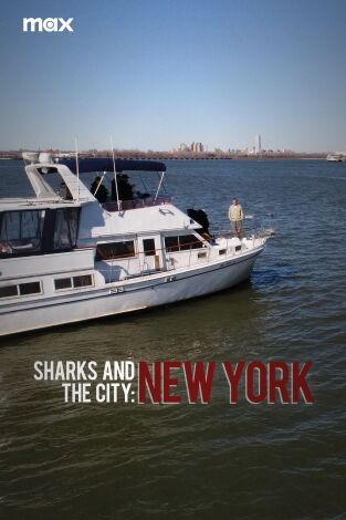 Tiburones en Nueva York