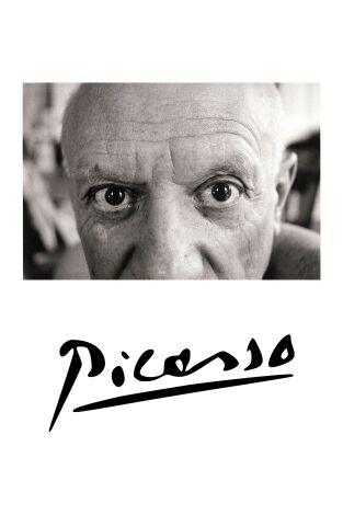 Picasso