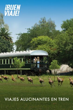 Viajes alucinantes en tren. Viajes alucinantes en tren 