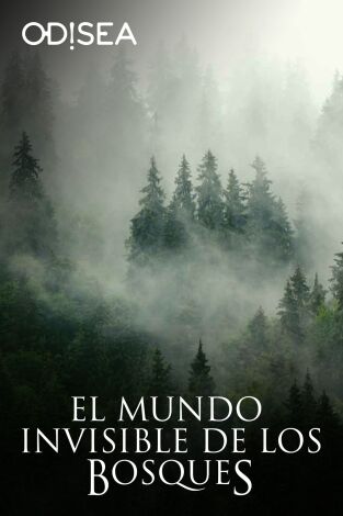 El mundo invisible de los bosques. El mundo invisible de los bosques 