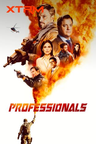 Professionals. T(T1). Professionals (T1)