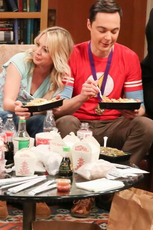 The Big Bang Theory. T(T12). The Big Bang Theory (T12): Ep.24 El síndrome de Estocolmo