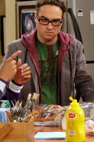 The Big Bang Theory. T(T1). The Big Bang Theory (T1): Ep.15 La indeterminación de la costilla de cerdo