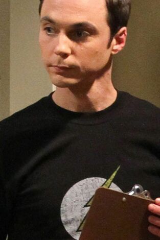 The Big Bang Theory. T(T3). The Big Bang Theory (T3): Ep.22 La implementación de la escalera continua
