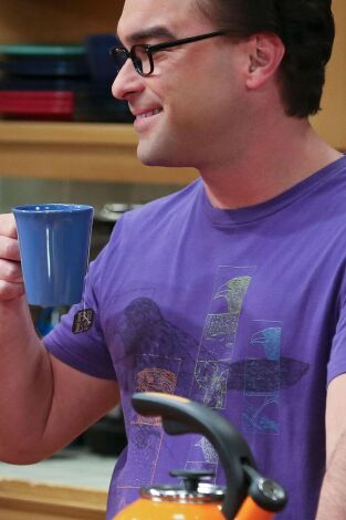 The Big Bang Theory. T(T9). The Big Bang Theory (T9): Ep.7 La resonancia de Spock