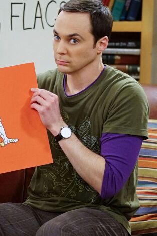 The Big Bang Theory. T(T9). The Big Bang Theory (T9): Ep.15 La inmersión de Valentino