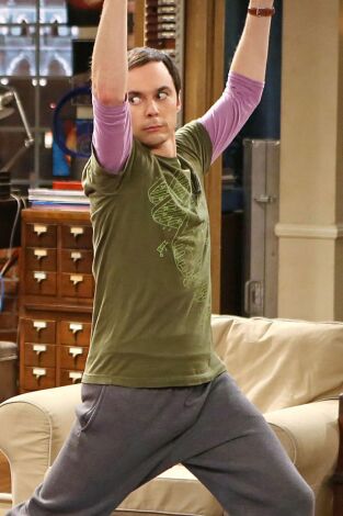 The Big Bang Theory, Season 7. T(T7). The Big Bang... (T7): Ep.13 La reorganización de la profesión