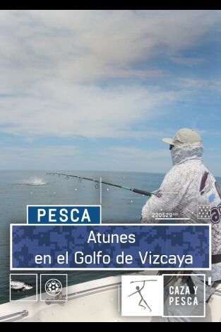 Atunes en el Golfo de Vizcaya